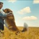 ericjperalta-blog avatar