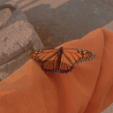 erics-dump-acc-pt-2 avatar