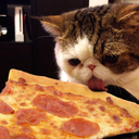 erictheepic13 avatar