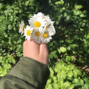 erik-tuzuyumu avatar