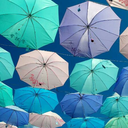 erika-sarutobi avatar