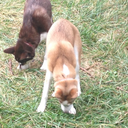 erikaehm-blog avatar