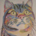 erikfontane04 avatar