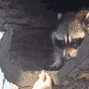 erikthelonelyboi-blog avatar