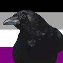 erincorvus avatar