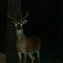 erisender-archives-blog avatar