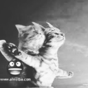 erkekleri-blog avatar