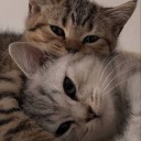 ernananananana avatar