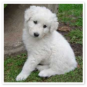 erniesgurl-blog avatar