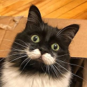 eron-detective avatar