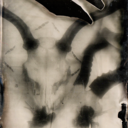 erosfrida-blog avatar