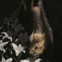 eroticconcrete avatar