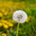 eroticeverlark avatar