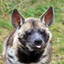 eroticfuneeral avatar