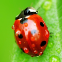 eroticincubifics avatar