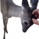 eroticmelanch0ly avatar