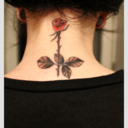 erraticemotions avatar