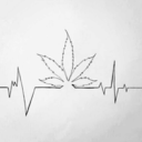 erraticperspective avatar