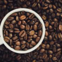 erraticthoughts00 avatar