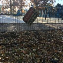 error-loadinggg avatar