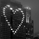 eruditelectiophile avatar