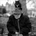 erythrocytebuffoonn avatar