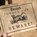 escapedjunglecat avatar