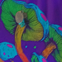 escaperealitytoday avatar