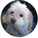 escapetheforgottencavern avatar