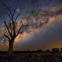 escapinginabook avatar