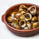 escargot-ifier avatar