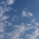 escritosdemar avatar