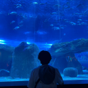 esencia-explosiva avatar