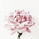 esestupendoservulgar avatar