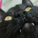 eskapistisklycka avatar