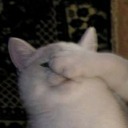 eskilerdenplaklar avatar