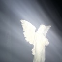 eskimogirl333 avatar