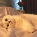 eskiyoruzeksiliyoruz avatar