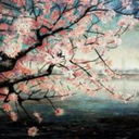 esmeralda-lupin avatar