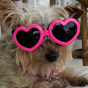 esmeraldabuscher avatar