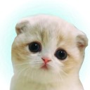 esmeraldtheduck avatar