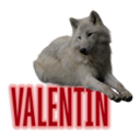 esotericsoldier avatar