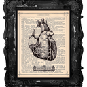 espiritodacontradiccion avatar