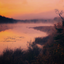 essenceofourlives avatar