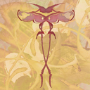 essentialeditions avatar