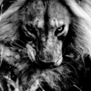 esta-es-mi-vida-mi-historia avatar