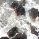 estrella-que-guia avatar