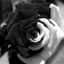 estrella-vane avatar