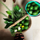 estudioaseret avatar