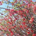 esverkrampftmeinarmesherz avatar